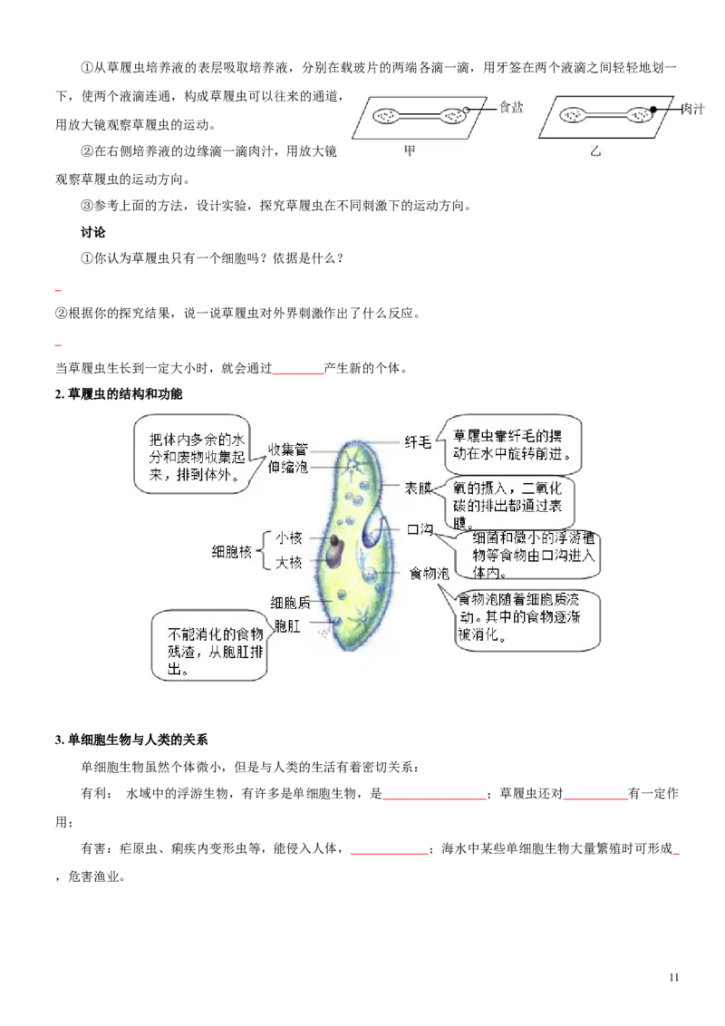 人教版7年级上册生物知识总结（学生版）27页2024秋新版教材_初中全科电子版试卷练习试题_生物_生物人教版7上练习&mdash;24新版已更新_人教生物七年级上知识汇总
