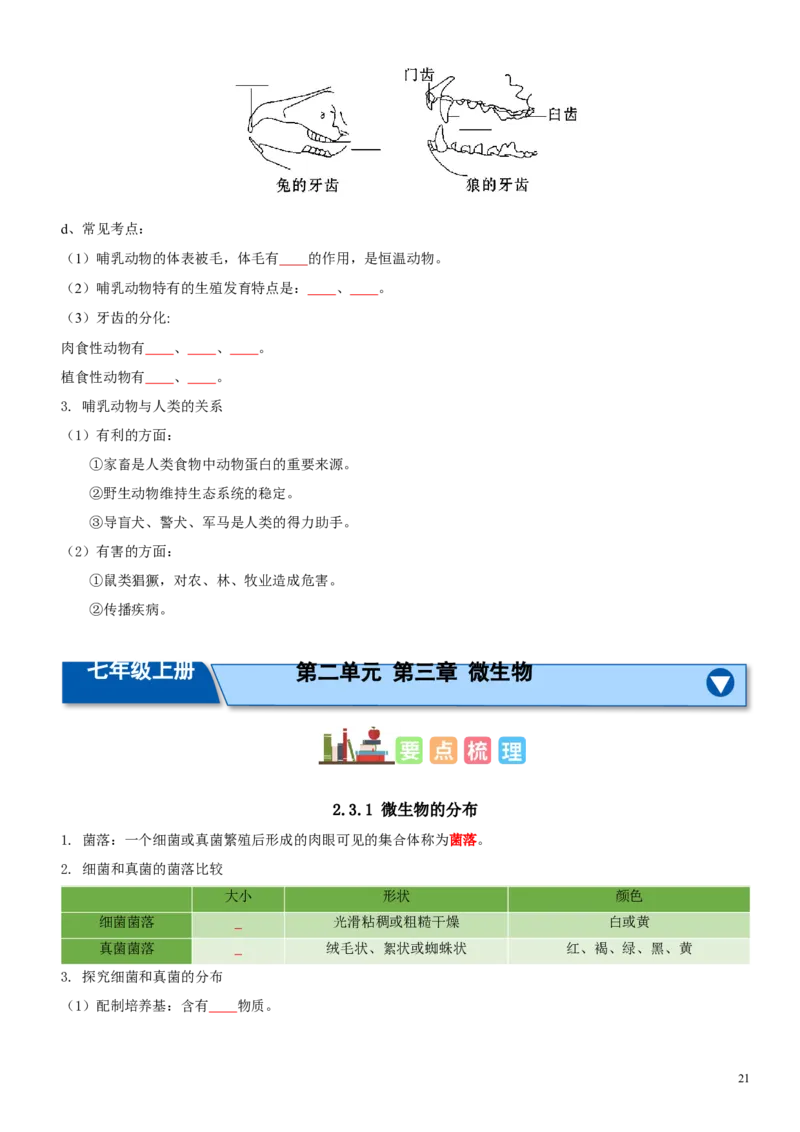 人教版7年级上册生物知识总结（学生版）27页2024秋新版教材_初中全科电子版试卷练习试题_生物_生物人教版7上练习&mdash;24新版已更新_人教生物七年级上知识汇总