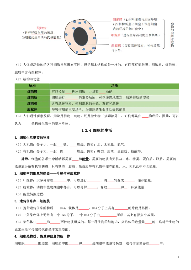 人教版7年级上册生物知识总结（学生版）27页2024秋新版教材_初中全科电子版试卷练习试题_生物_生物人教版7上练习&mdash;24新版已更新_人教生物七年级上知识汇总