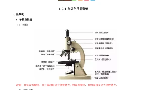 人教版7年级上册生物知识总结（学生版）27页2024秋新版教材_初中全科电子版试卷练习试题_生物_生物人教版7上练习&mdash;24新版已更新_人教生物七年级上知识汇总
