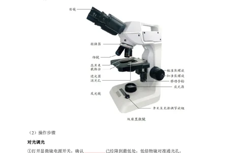 人教版7年级上册生物知识总结（学生版）27页2024秋新版教材_初中全科电子版试卷练习试题_生物_生物人教版7上练习&mdash;24新版已更新_人教生物七年级上知识汇总