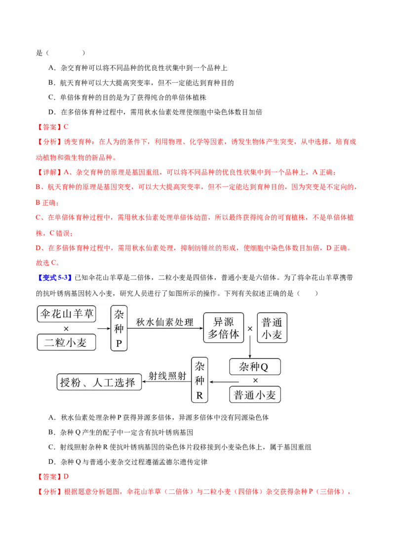 专题四遗传的基本规律和人类遗传遗传病（解析版）_2025年新高考资料_二轮复习_01高考语文等多个文件_举一反三2025年高考生物二轮重点专题讲义（新高考通用）