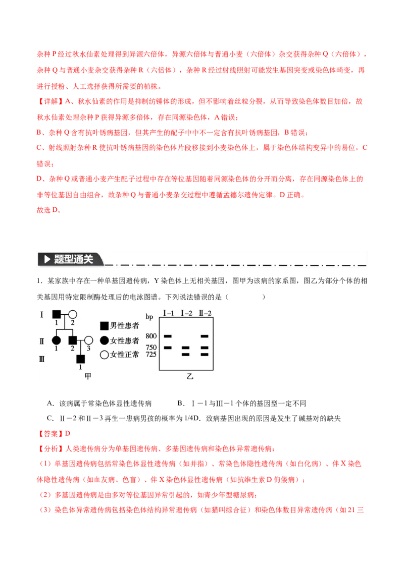 专题四遗传的基本规律和人类遗传遗传病（解析版）_2025年新高考资料_二轮复习_01高考语文等多个文件_举一反三2025年高考生物二轮重点专题讲义（新高考通用）