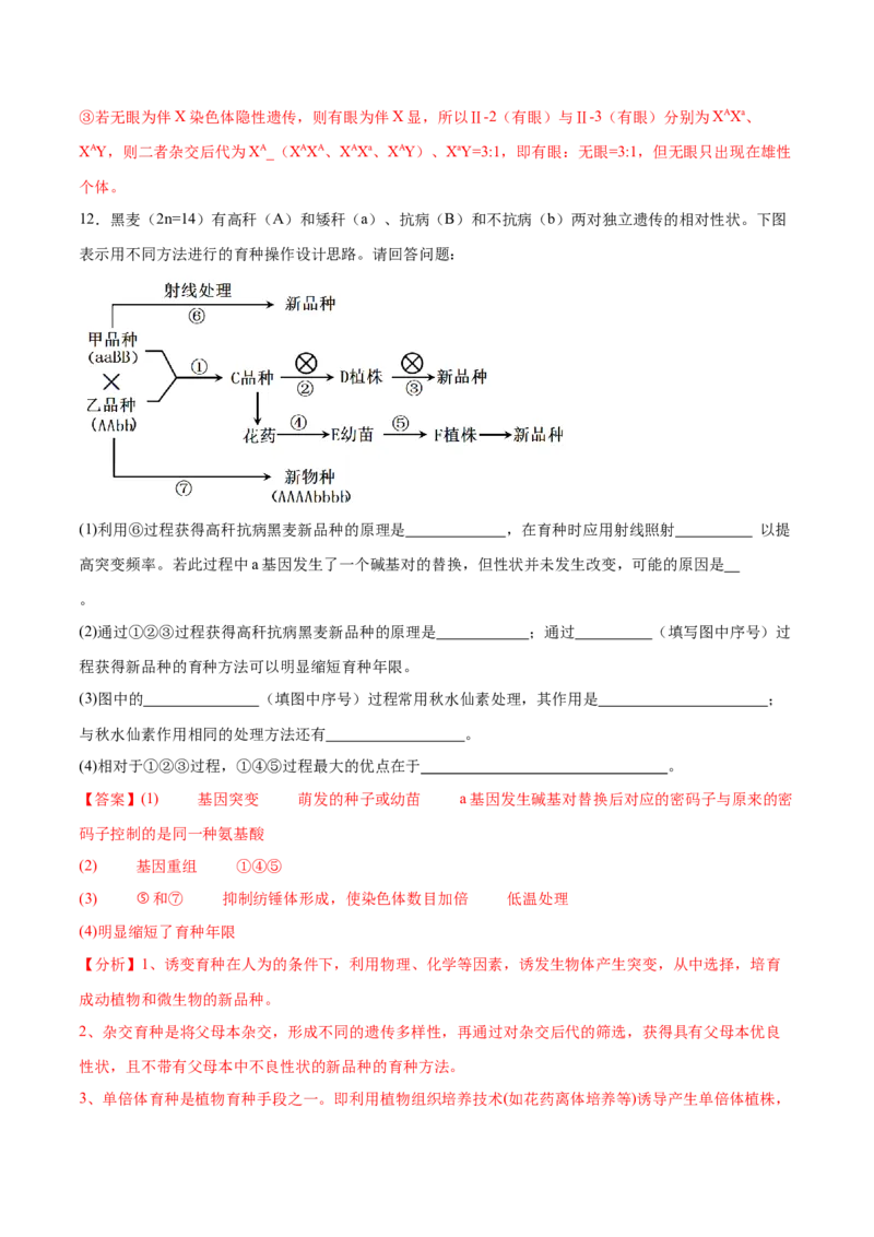 专题四遗传的基本规律和人类遗传遗传病（解析版）_2025年新高考资料_二轮复习_01高考语文等多个文件_举一反三2025年高考生物二轮重点专题讲义（新高考通用）
