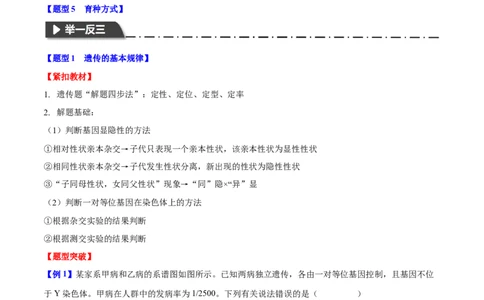 专题四遗传的基本规律和人类遗传遗传病（解析版）_2025年新高考资料_二轮复习_01高考语文等多个文件_举一反三2025年高考生物二轮重点专题讲义（新高考通用）