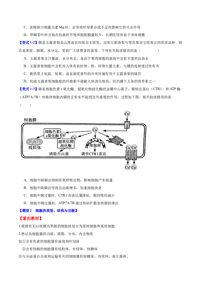 专题一细胞的分子组成、结构与功能（原卷版）_2025年新高考资料_二轮复习_01高考语文等多个文件_举一反三2025年高考生物二轮重点专题讲义（新高考通用）