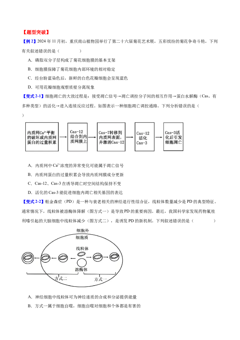 专题一细胞的分子组成、结构与功能（原卷版）_2025年新高考资料_二轮复习_01高考语文等多个文件_举一反三2025年高考生物二轮重点专题讲义（新高考通用）