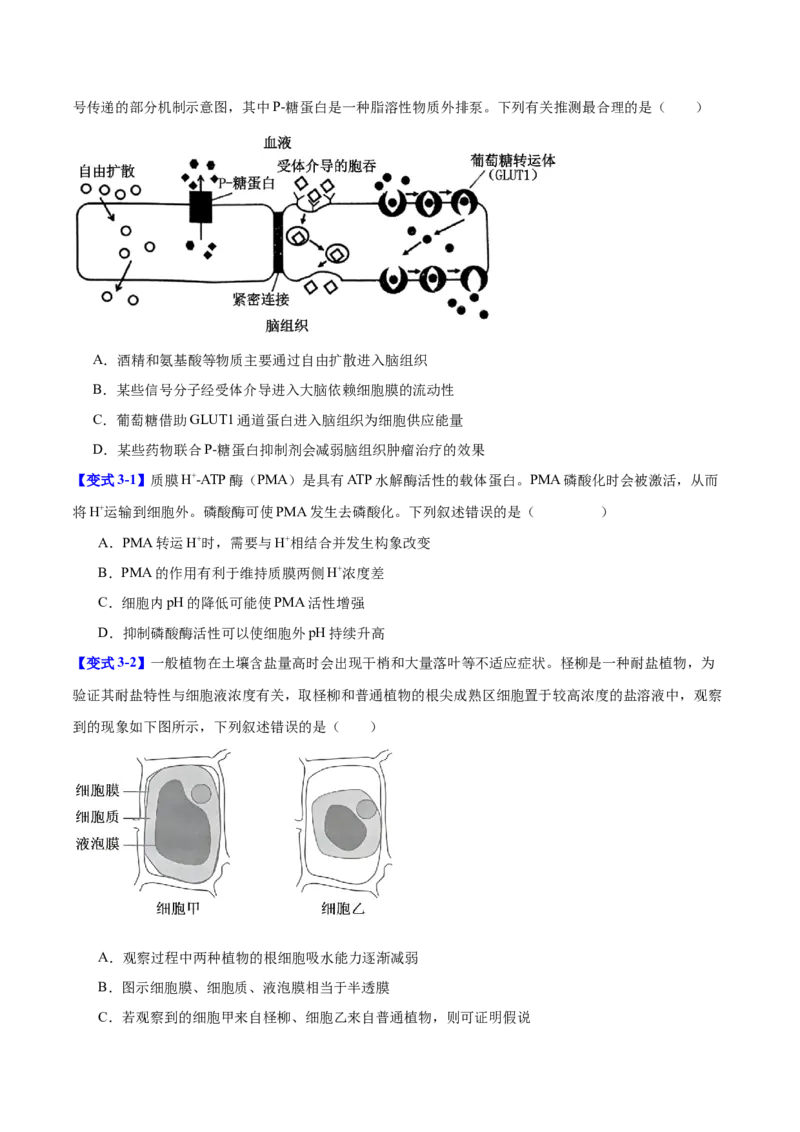 专题一细胞的分子组成、结构与功能（原卷版）_2025年新高考资料_二轮复习_01高考语文等多个文件_举一反三2025年高考生物二轮重点专题讲义（新高考通用）
