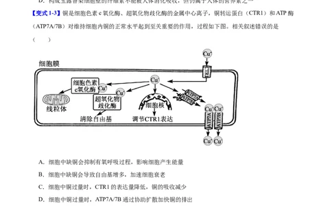 专题一细胞的分子组成、结构与功能（原卷版）_2025年新高考资料_二轮复习_01高考语文等多个文件_举一反三2025年高考生物二轮重点专题讲义（新高考通用）
