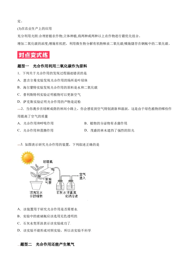 必考点21光合作用吸收二氧化碳释放氧气-（人教版）（原卷版）_初中全科电子版试卷练习试题_生物_生物人教版7上练习&mdash;24新版已更新_人教生物7年级上专项练习28份