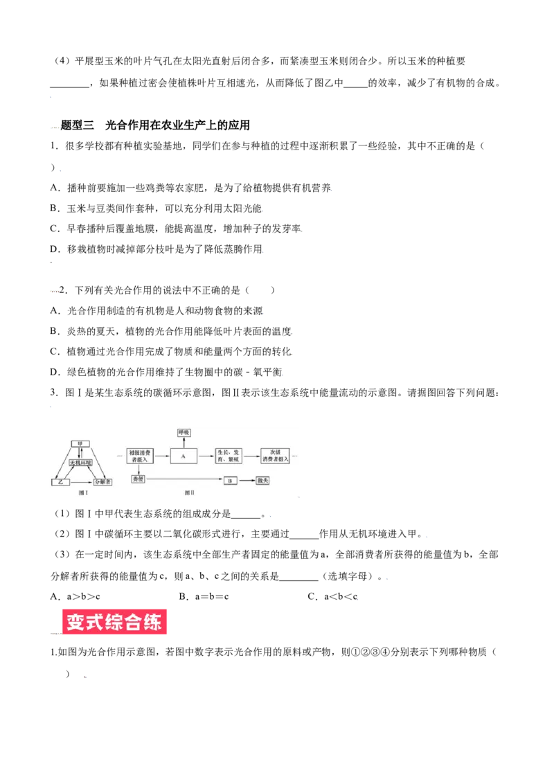 必考点21光合作用吸收二氧化碳释放氧气-（人教版）（原卷版）_初中全科电子版试卷练习试题_生物_生物人教版7上练习&mdash;24新版已更新_人教生物7年级上专项练习28份