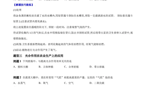 必考点21光合作用吸收二氧化碳释放氧气-（人教版）（原卷版）_初中全科电子版试卷练习试题_生物_生物人教版7上练习&mdash;24新版已更新_人教生物7年级上专项练习28份