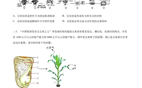 必考点21光合作用吸收二氧化碳释放氧气-（人教版）（原卷版）_初中全科电子版试卷练习试题_生物_生物人教版7上练习&mdash;24新版已更新_人教生物7年级上专项练习28份