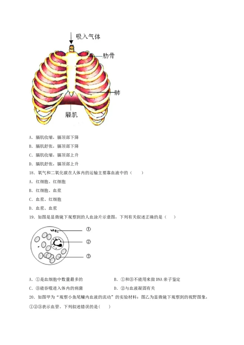 期中测试02-（原卷版）_初中全科电子版试卷练习试题_生物_生物人教版7下练习_人教生物7年级下期中试卷07份