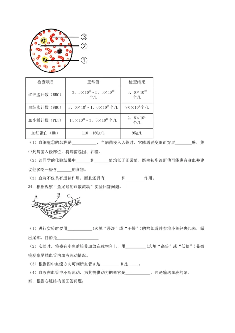期中测试02-（原卷版）_初中全科电子版试卷练习试题_生物_生物人教版7下练习_人教生物7年级下期中试卷07份