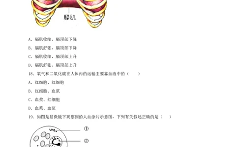期中测试02-（原卷版）_初中全科电子版试卷练习试题_生物_生物人教版7下练习_人教生物7年级下期中试卷07份
