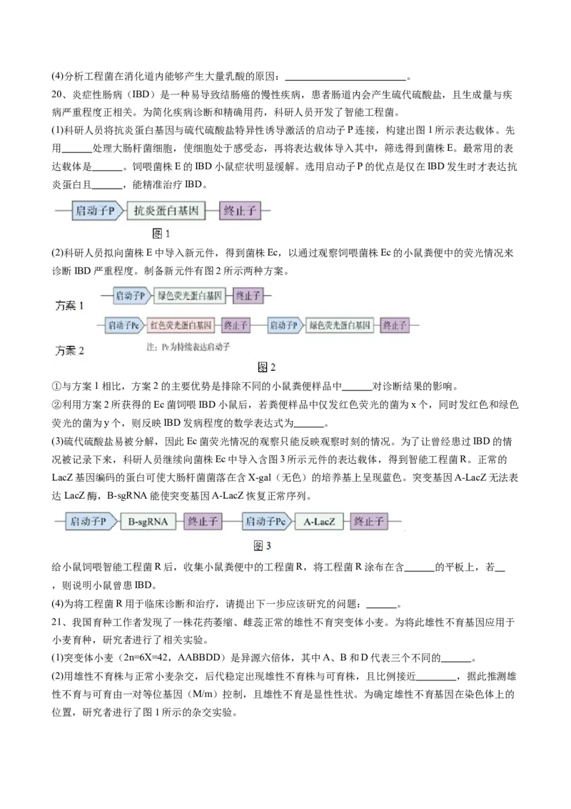 信息必刷卷03（北京专用）（原卷版）_2025年新高考资料_2025考前信息卷_2025年高考生物考前信息必刷卷（北京专用）34427555