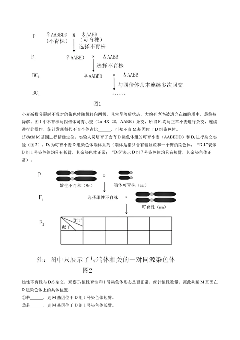 信息必刷卷03（北京专用）（原卷版）_2025年新高考资料_2025考前信息卷_2025年高考生物考前信息必刷卷（北京专用）34427555