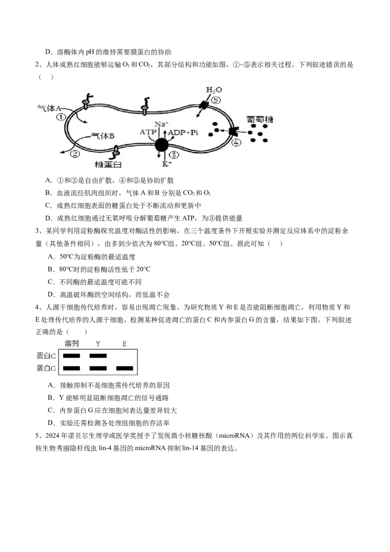 信息必刷卷03（北京专用）（原卷版）_2025年新高考资料_2025考前信息卷_2025年高考生物考前信息必刷卷（北京专用）34427555