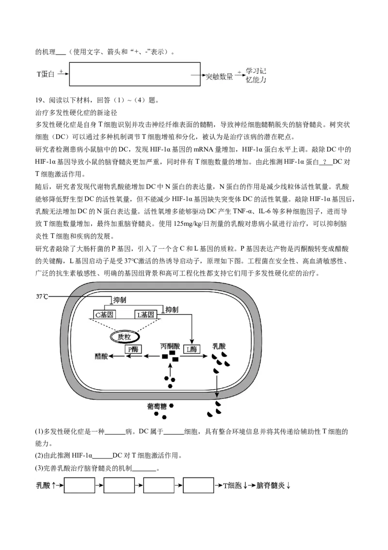 信息必刷卷03（北京专用）（原卷版）_2025年新高考资料_2025考前信息卷_2025年高考生物考前信息必刷卷（北京专用）34427555