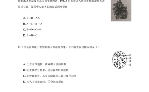 特训03选择题（20题）-（尖子生专用）（考试版）_初中全科电子版试卷练习试题_生物_生物人教版7下练习_人教生物7年级下专项练习16份