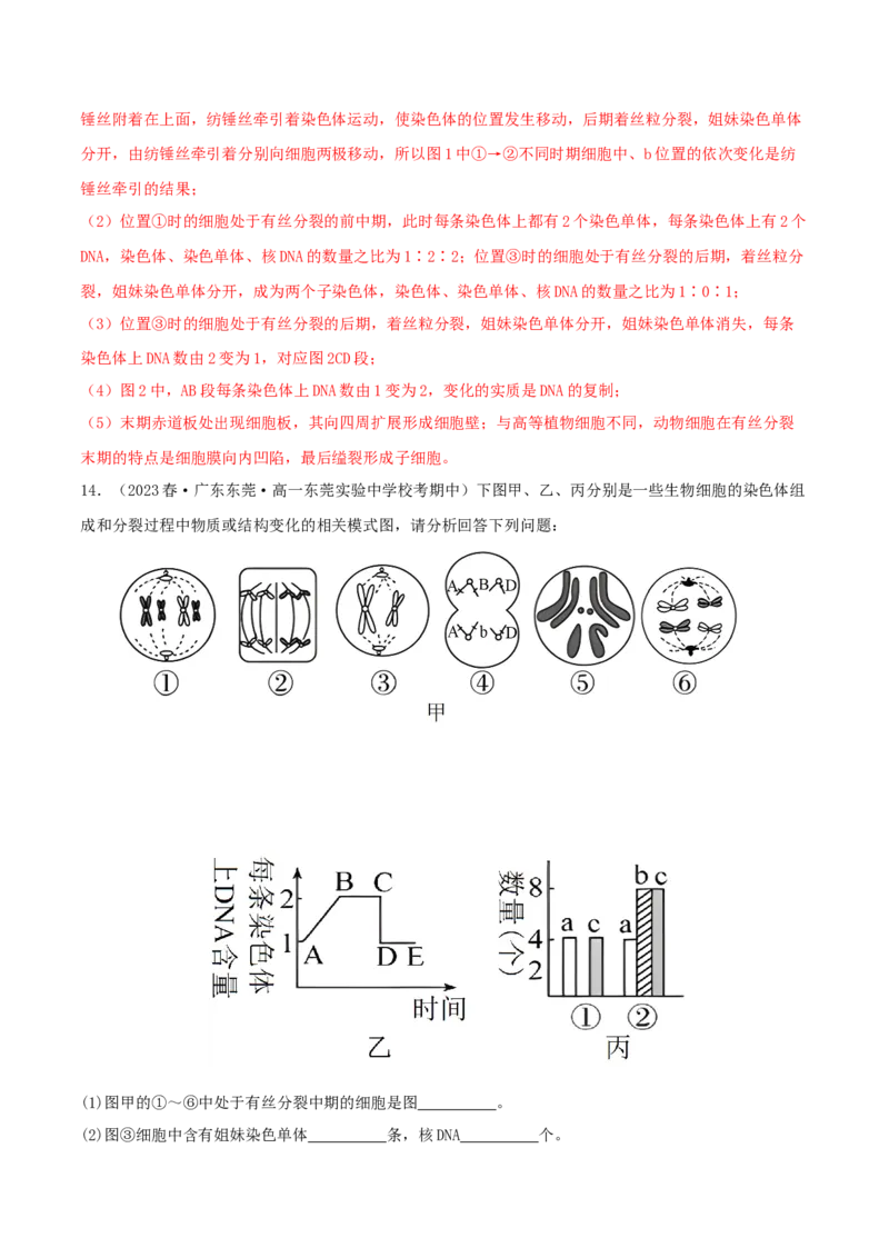 专题综合练03细胞的生命历程(解析版)_新高考复习资料_2024年新高考复习资料_一轮复习资料_完备战2024年高考生物一轮复习考点帮（新高考）_必修1