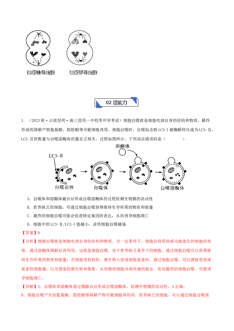 专题综合练03细胞的生命历程(解析版)_新高考复习资料_2024年新高考复习资料_一轮复习资料_完备战2024年高考生物一轮复习考点帮（新高考）_必修1