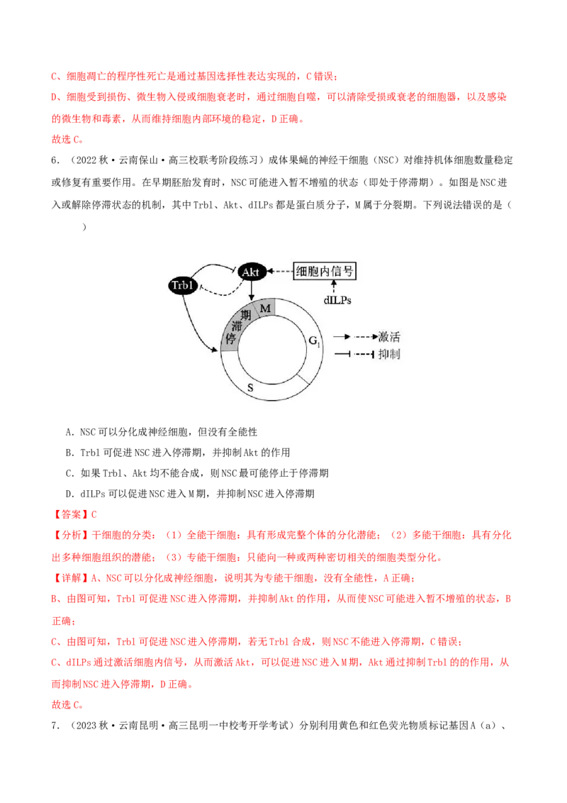 专题综合练03细胞的生命历程(解析版)_新高考复习资料_2024年新高考复习资料_一轮复习资料_完备战2024年高考生物一轮复习考点帮（新高考）_必修1