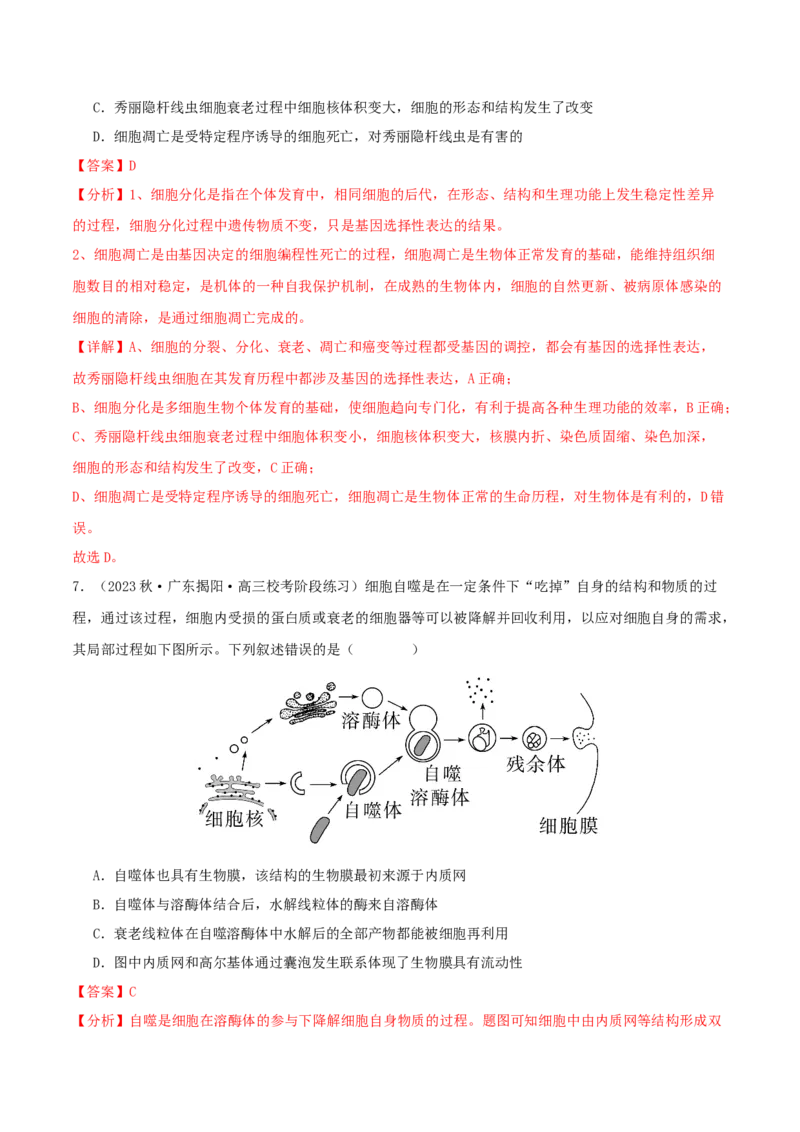 专题综合练03细胞的生命历程(解析版)_新高考复习资料_2024年新高考复习资料_一轮复习资料_完备战2024年高考生物一轮复习考点帮（新高考）_必修1