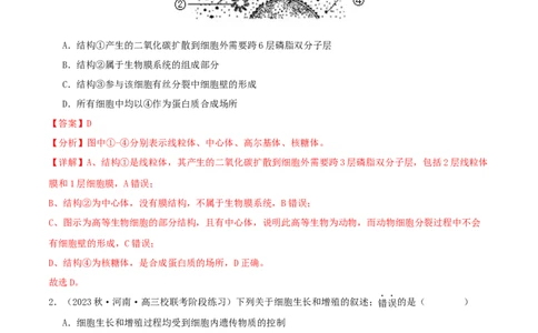 专题综合练03细胞的生命历程(解析版)_新高考复习资料_2024年新高考复习资料_一轮复习资料_完备战2024年高考生物一轮复习考点帮（新高考）_必修1