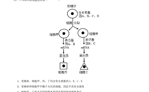 专题综合练03细胞的生命历程(解析版)_新高考复习资料_2024年新高考复习资料_一轮复习资料_完备战2024年高考生物一轮复习考点帮（新高考）_必修1