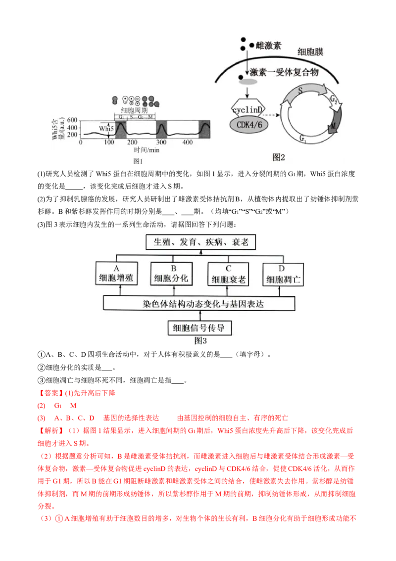 专题三细胞的生命历程（解析版）_2025年新高考资料_二轮复习_上好课2025年高考生物二轮复习讲练测（新高考通用）3380526