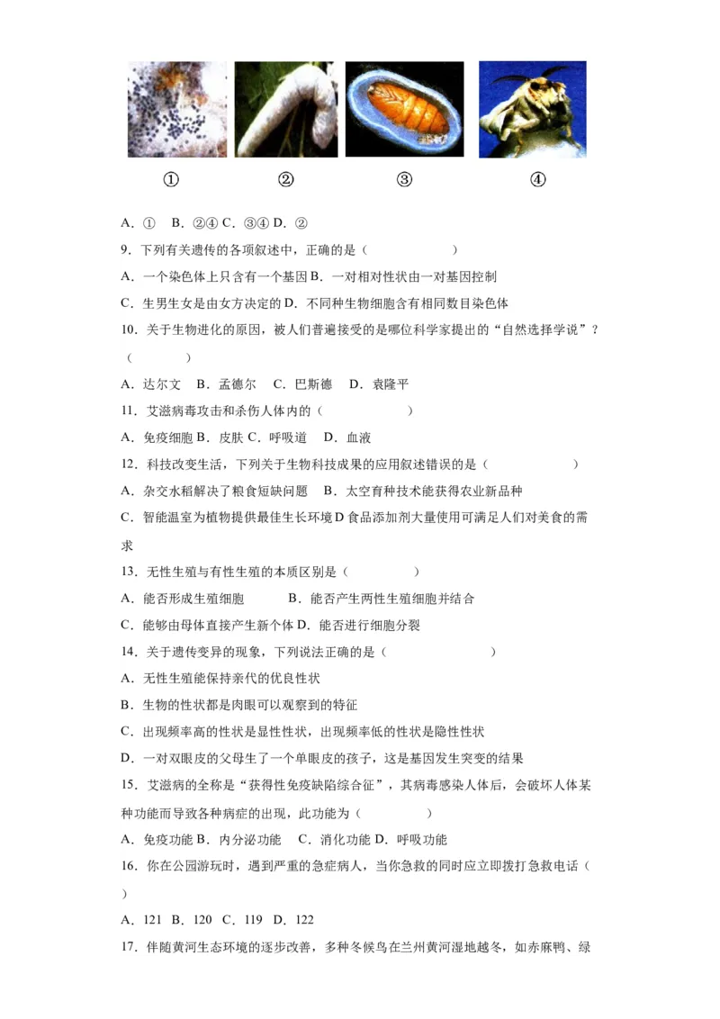 卷04-八年级生物下学期期末综合测试卷（人教版）（原卷版）_new_初中全科电子版试卷练习试题_生物_生物8下练习_人教生物8年级下期末试卷12份