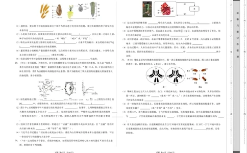 生物（济南卷）（考试版A3）_初中全科电子版试卷练习试题_生物_2024中考模拟题生物(1)_一模_生物（济南卷）-2024年中考第一次模拟考试