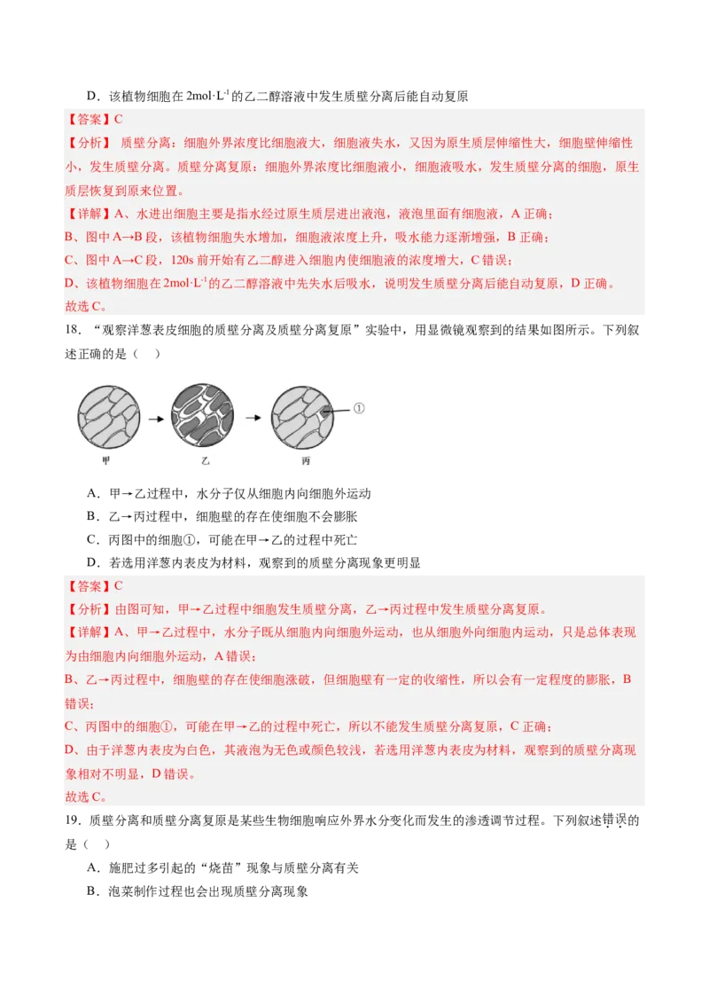 单元检测卷02细胞的结构、功能和物质运输（解析版）_新高考复习资料_2025年新高考资料_2025年高考生物一轮复习考点通关卷（新高考通用）