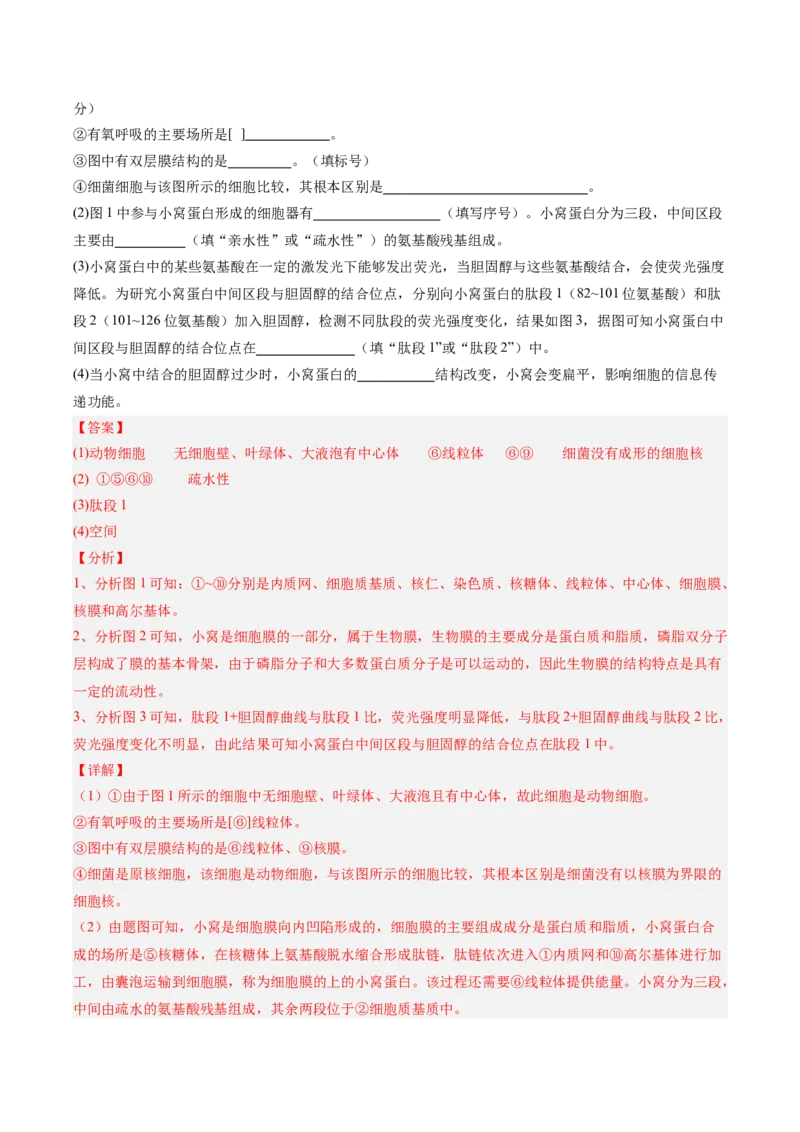 单元检测卷02细胞的结构、功能和物质运输（解析版）_新高考复习资料_2025年新高考资料_2025年高考生物一轮复习考点通关卷（新高考通用）