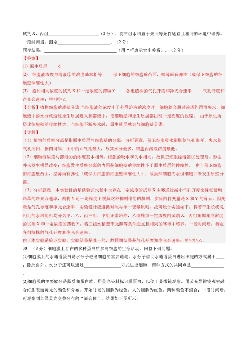 单元检测卷02细胞的结构、功能和物质运输（解析版）_新高考复习资料_2025年新高考资料_2025年高考生物一轮复习考点通关卷（新高考通用）