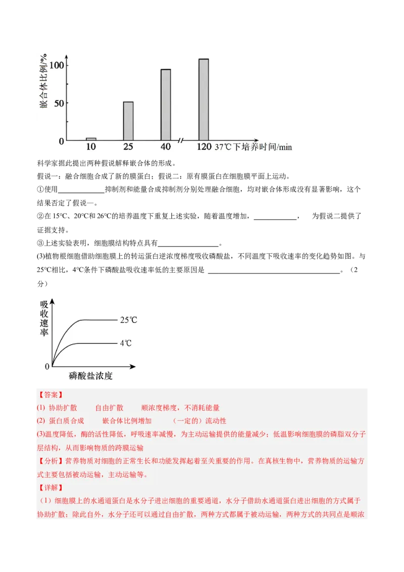 单元检测卷02细胞的结构、功能和物质运输（解析版）_新高考复习资料_2025年新高考资料_2025年高考生物一轮复习考点通关卷（新高考通用）