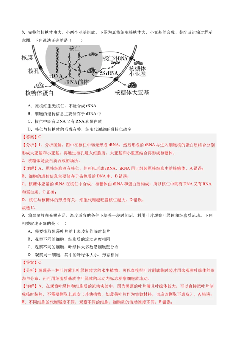 单元检测卷02细胞的结构、功能和物质运输（解析版）_新高考复习资料_2025年新高考资料_2025年高考生物一轮复习考点通关卷（新高考通用）