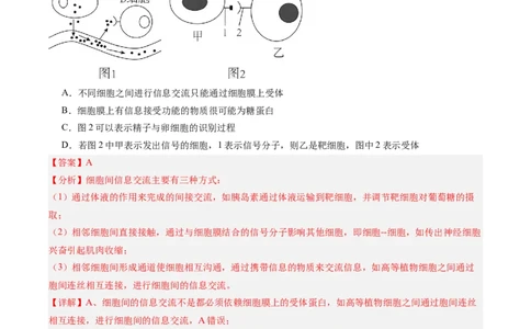 单元检测卷02细胞的结构、功能和物质运输（解析版）_新高考复习资料_2025年新高考资料_2025年高考生物一轮复习考点通关卷（新高考通用）