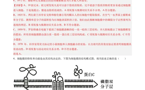 单元检测卷02细胞的结构、功能和物质运输（解析版）_新高考复习资料_2025年新高考资料_2025年高考生物一轮复习考点通关卷（新高考通用）