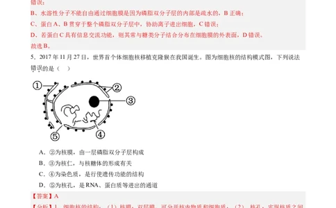 单元检测卷02细胞的结构、功能和物质运输（解析版）_新高考复习资料_2025年新高考资料_2025年高考生物一轮复习考点通关卷（新高考通用）