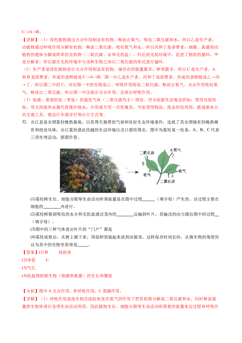 生物（泰州卷）（全解全析）_初中全科电子版试卷练习试题_生物_2024中考模拟题生物(1)_一模_生物（泰州卷）-2024年中考第一次模拟考试