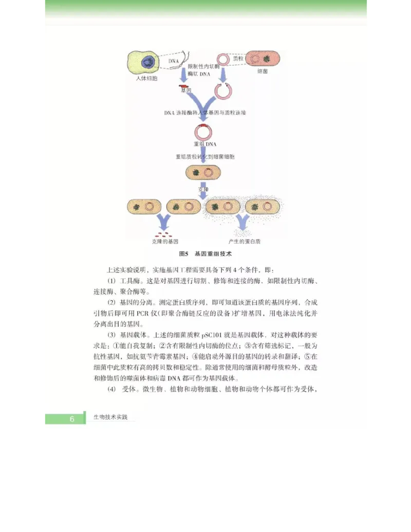 浙科版高中生物选修1《生物技术实践》电子课本_高中电子课本_6.高中生物课本_浙科版高中生物