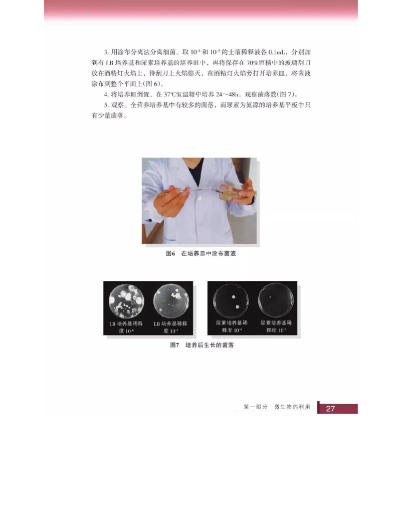 浙科版高中生物选修1《生物技术实践》电子课本_高中电子课本_6.高中生物课本_浙科版高中生物