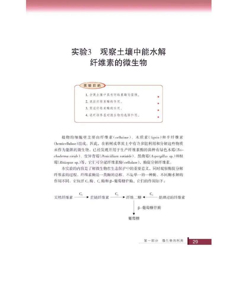 浙科版高中生物选修1《生物技术实践》电子课本_高中电子课本_6.高中生物课本_浙科版高中生物