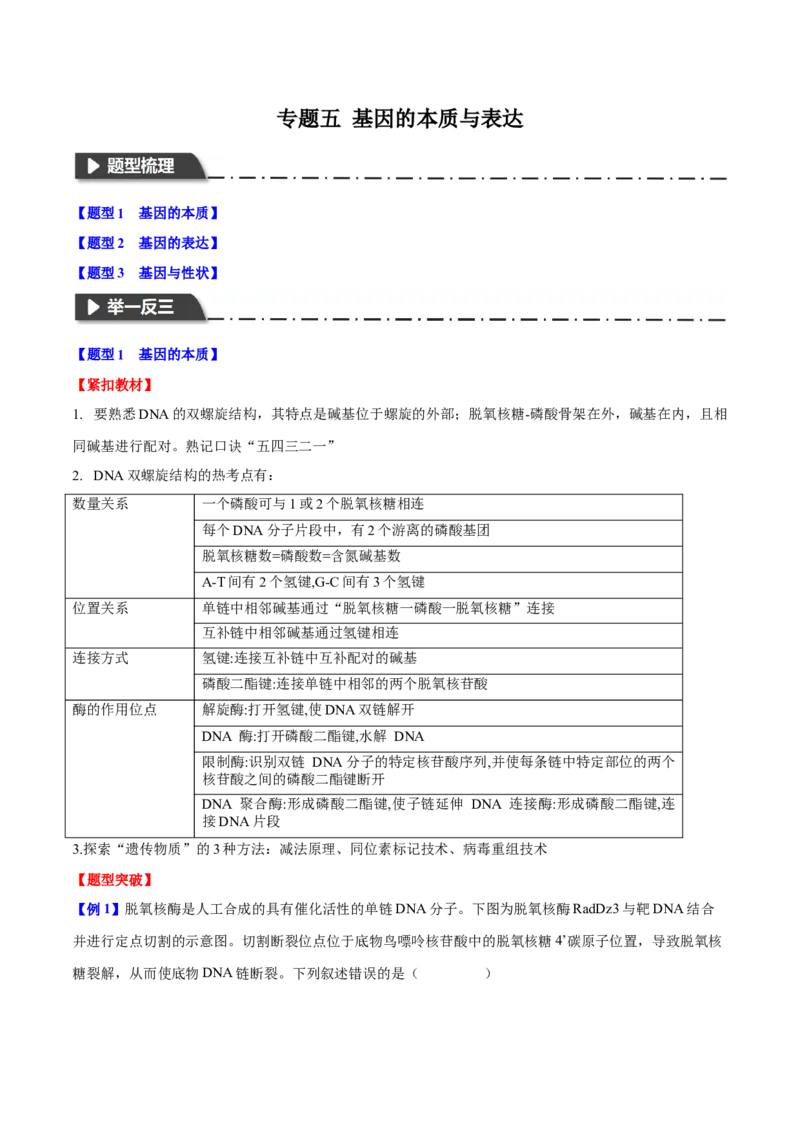 专题五基因的本质与表达（原卷版）_2025年新高考资料_二轮复习_01高考语文等多个文件_举一反三2025年高考生物二轮重点专题讲义（新高考通用）