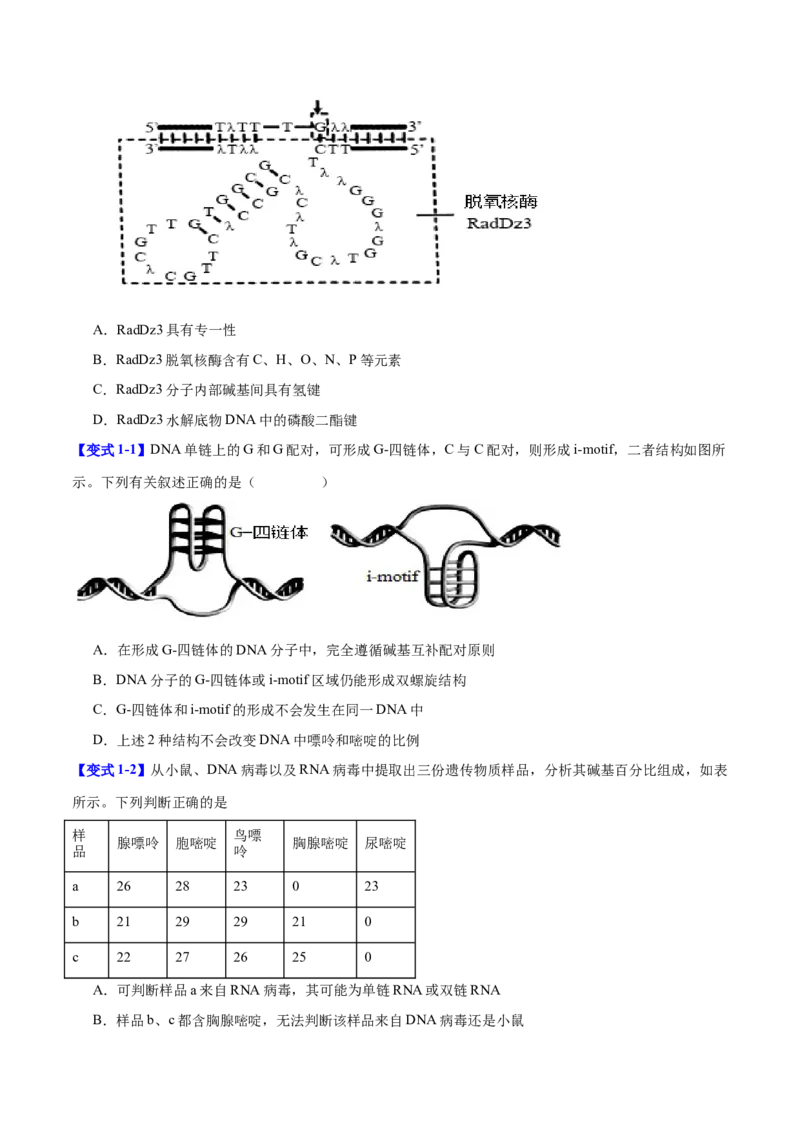专题五基因的本质与表达（原卷版）_2025年新高考资料_二轮复习_01高考语文等多个文件_举一反三2025年高考生物二轮重点专题讲义（新高考通用）