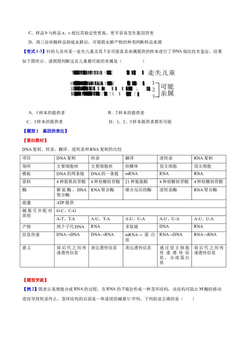 专题五基因的本质与表达（原卷版）_2025年新高考资料_二轮复习_01高考语文等多个文件_举一反三2025年高考生物二轮重点专题讲义（新高考通用）