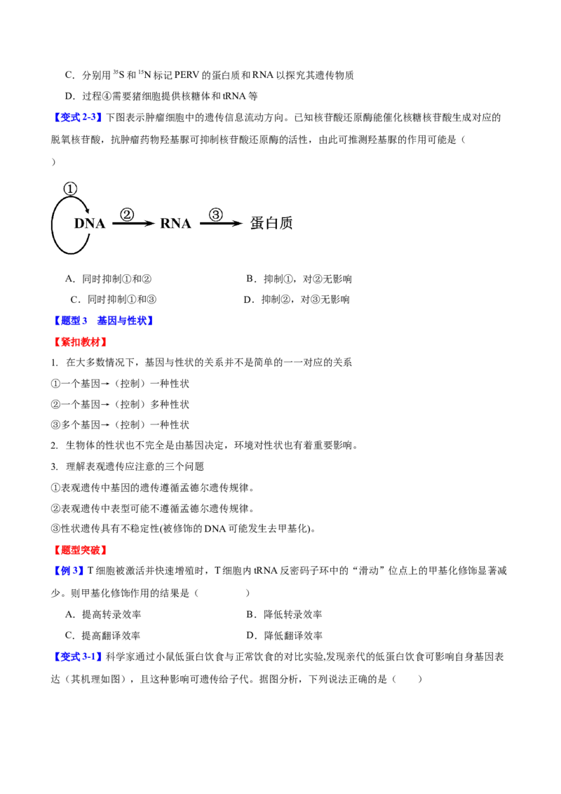 专题五基因的本质与表达（原卷版）_2025年新高考资料_二轮复习_01高考语文等多个文件_举一反三2025年高考生物二轮重点专题讲义（新高考通用）